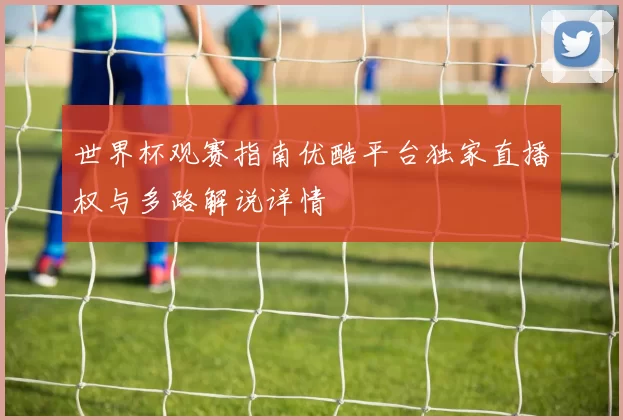 世界杯观赛指南优酷平台独家直播权与多路解说详情