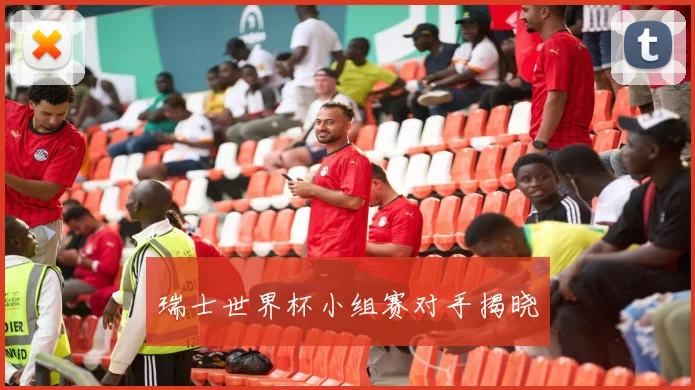 瑞士世界杯小组赛对手揭晓